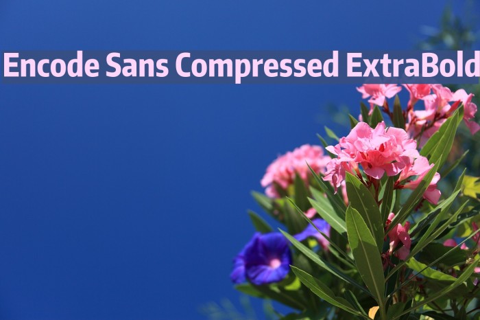 Encode Sans Compressed ExtraBold Font examples