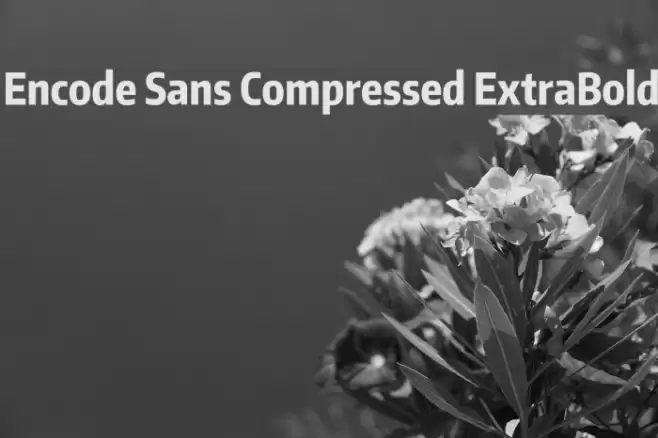 Encode Sans Compressed ExtraBold Font examples
