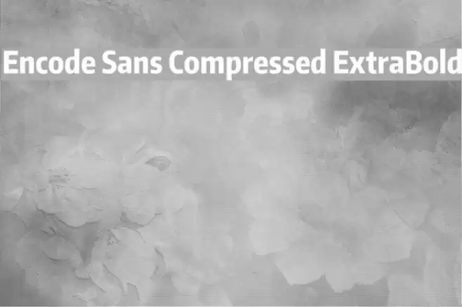 Encode Sans Compressed ExtraBold Font examples