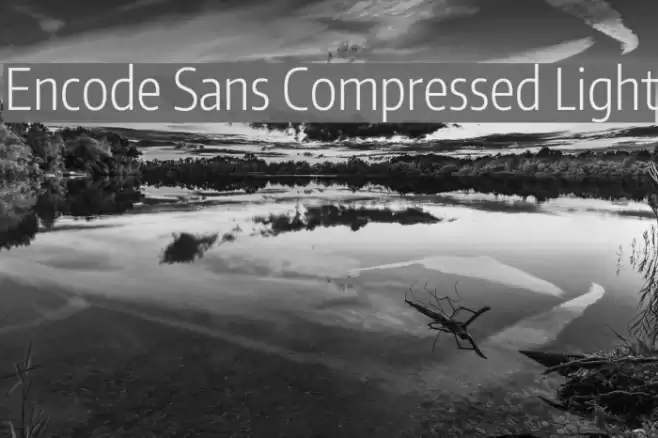Encode Sans Compressed Light Font examples
