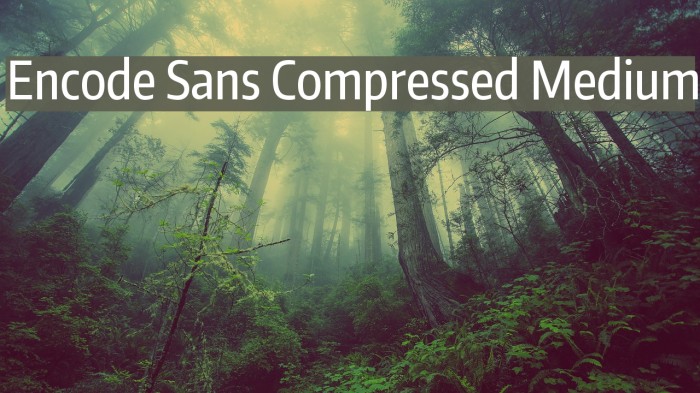 Encode Sans Compressed Medium Font examples
