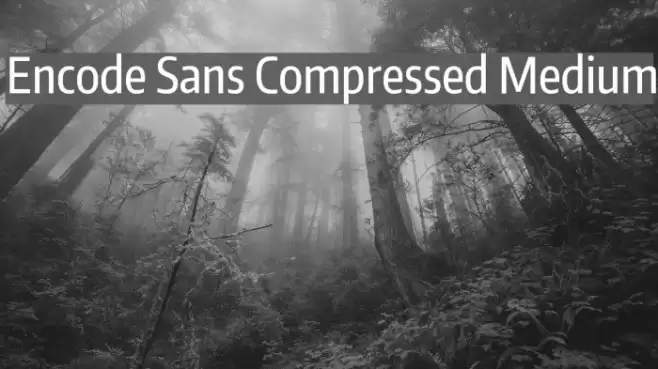 Encode Sans Compressed Medium Font examples