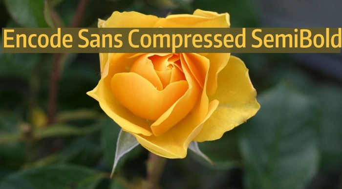 Encode Sans Compressed SemiBold Font examples