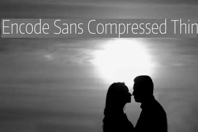 Encode Sans Compressed Thin Example 1