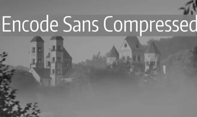 Encode Sans Compressed Font examples