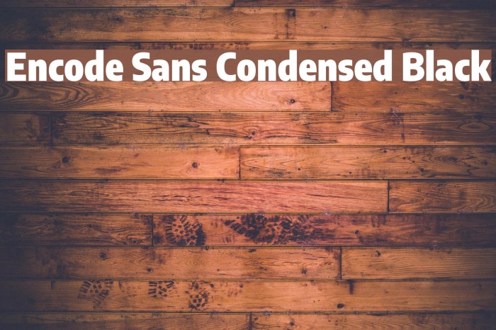 Encode Sans Condensed Black Font examples