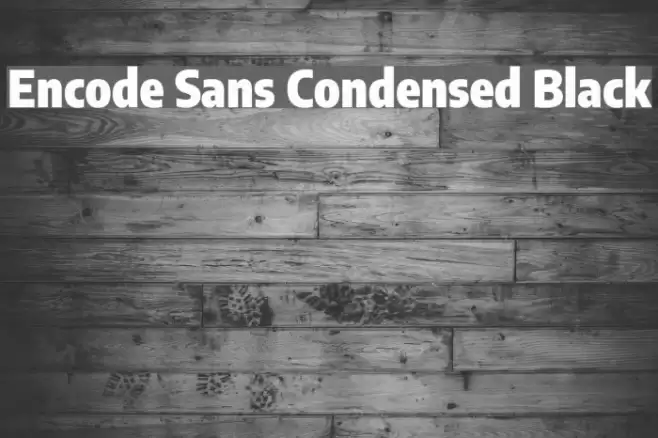 Encode Sans Condensed Black Fonte examples