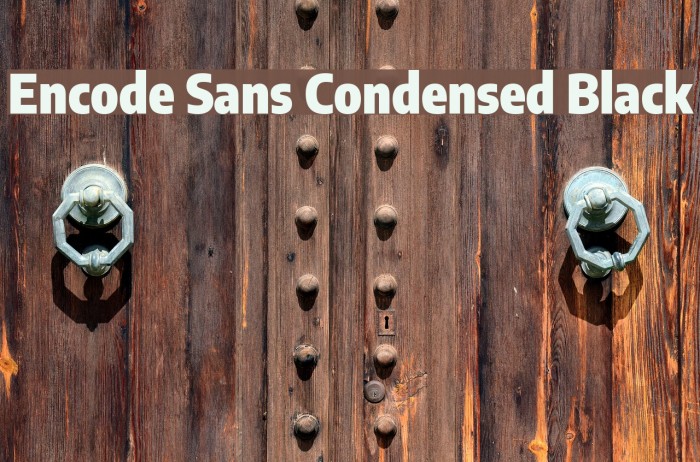 Encode Sans Condensed Black Font examples
