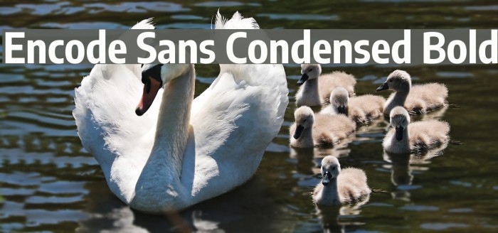 Encode Sans Condensed Bold Font examples