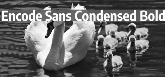 Encode Sans Condensed Bold Example 1
