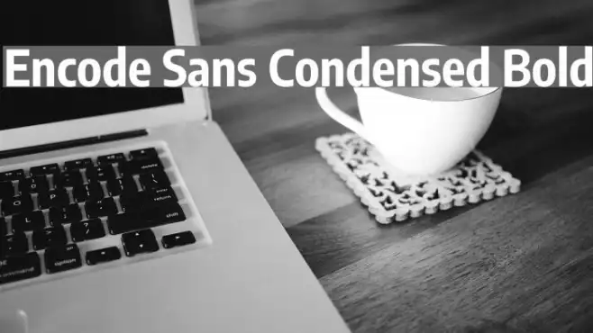 Encode Sans Condensed Bold Example 2