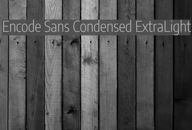 Encode Sans Condensed ExtraLight Example 1