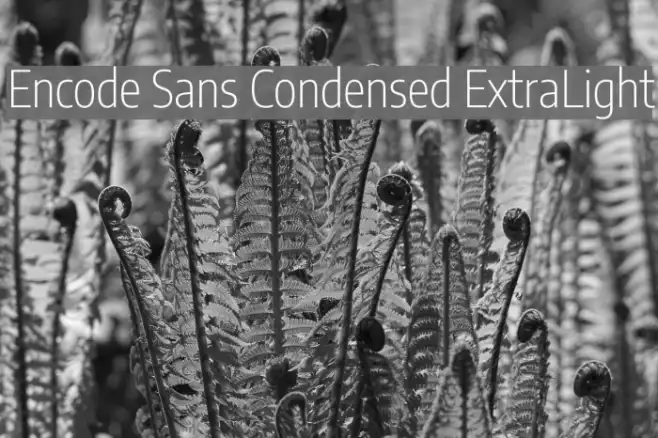 Encode Sans Condensed ExtraLight Example 2