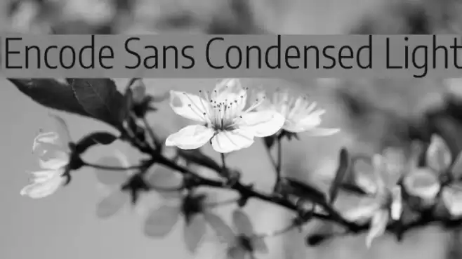 Encode Sans Condensed Light Font examples