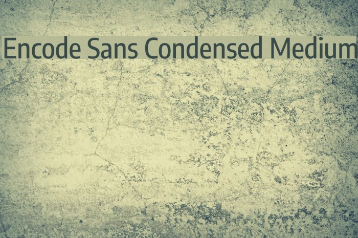 Encode Sans Condensed Medium Font examples