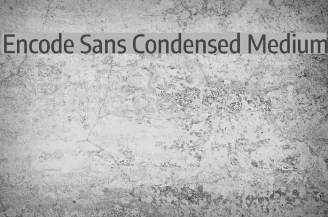 Encode Sans Condensed Medium Example 1