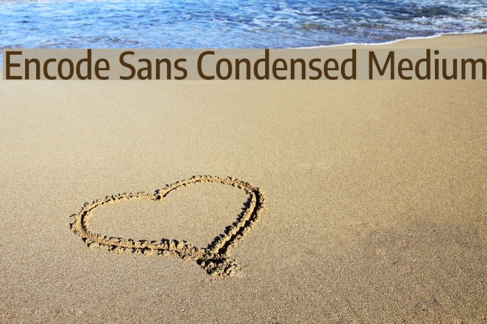Encode Sans Condensed Medium Font examples