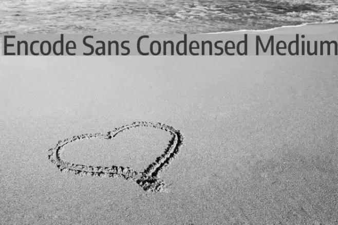 Encode Sans Condensed Medium Example 3