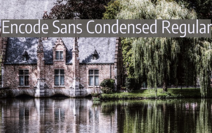 Encode Sans Condensed Regular Font examples