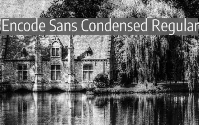 Encode Sans Condensed Regular Example 1