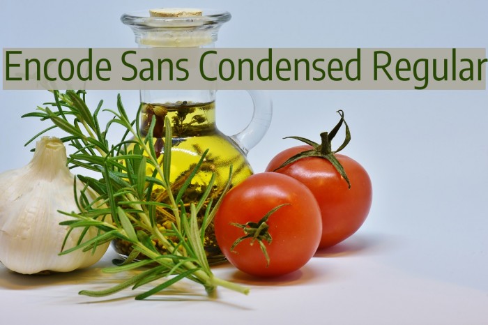 Encode Sans Condensed Regular Font examples