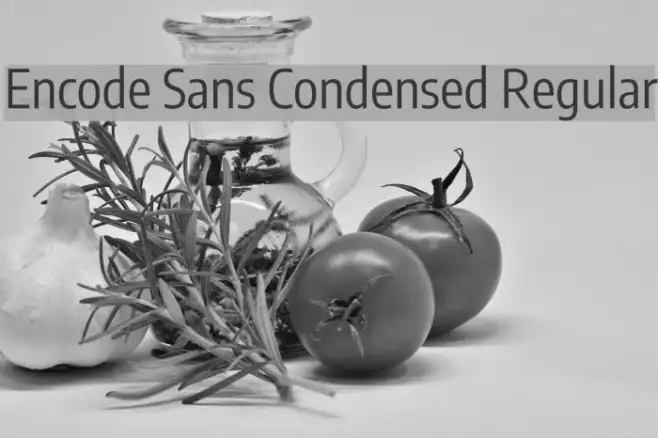 Encode Sans Condensed Regular Example 2