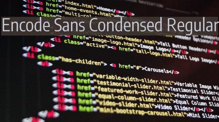 Encode Sans Condensed Regular Font examples