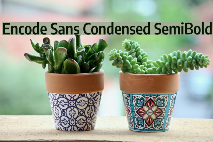 Encode Sans Condensed SemiBold Font examples