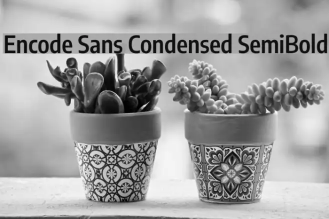 Encode Sans Condensed SemiBold Example 1