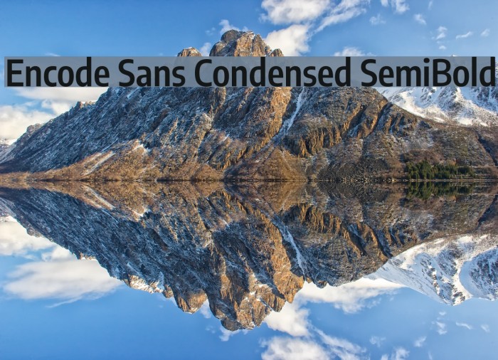 Encode Sans Condensed SemiBold Font examples
