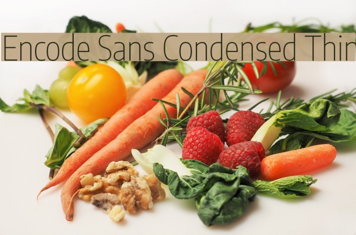 Encode Sans Condensed Thin Font examples