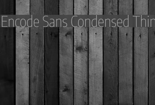 Encode Sans Condensed Thin Example 3