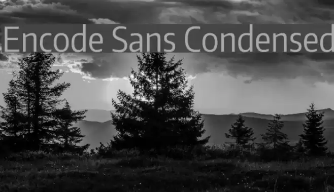 Encode Sans Condensed Font examples