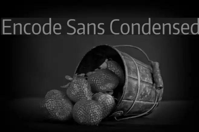 Encode Sans Condensed Font examples