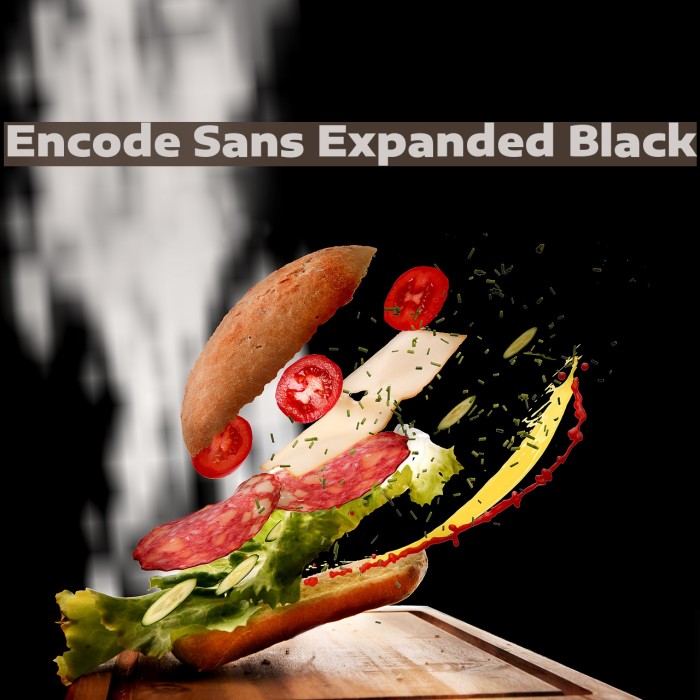 Encode Sans Expanded Black Font examples