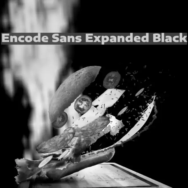 Encode Sans Expanded Black Example 1