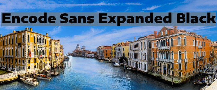 Encode Sans Expanded Black Font examples