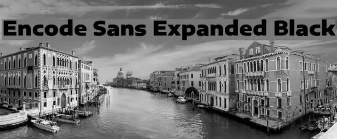Encode Sans Expanded Black Example 2