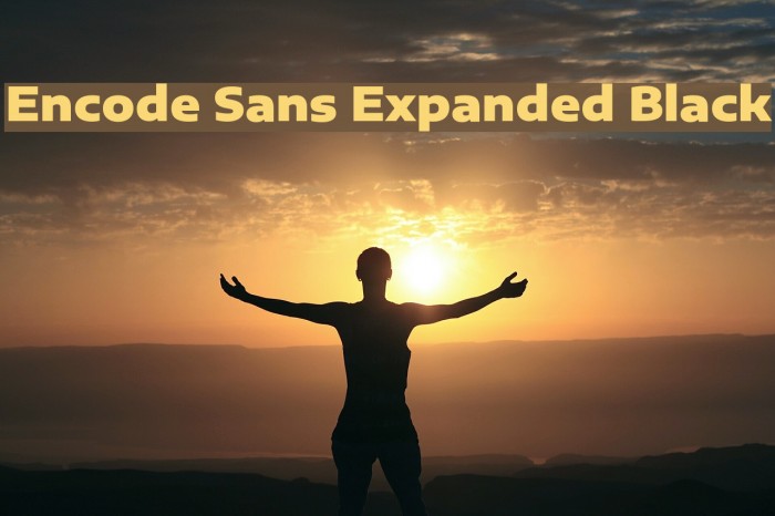 Encode Sans Expanded Black Font examples