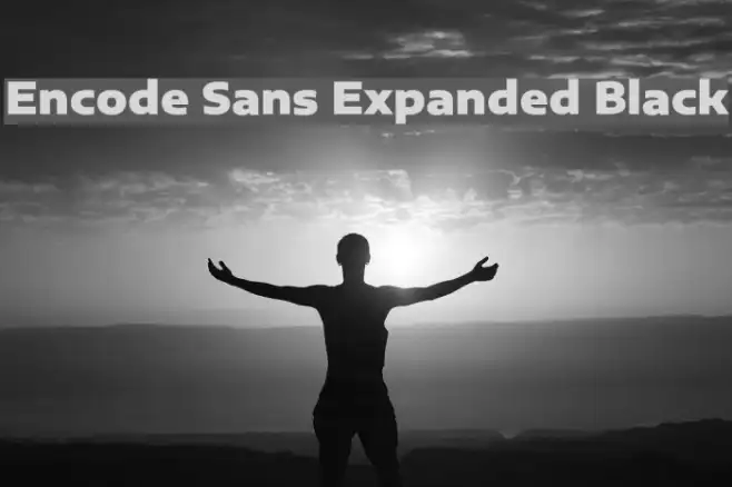 Encode Sans Expanded Black Example 3