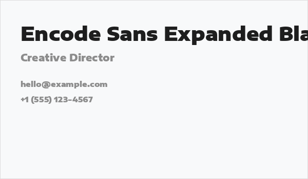 Encode Sans Expanded Black Business Card