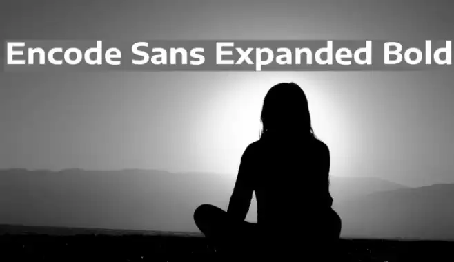 Encode Sans Expanded Bold Font examples