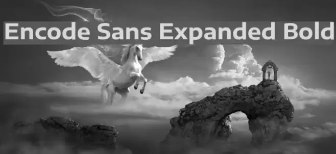 Encode Sans Expanded Bold Font examples