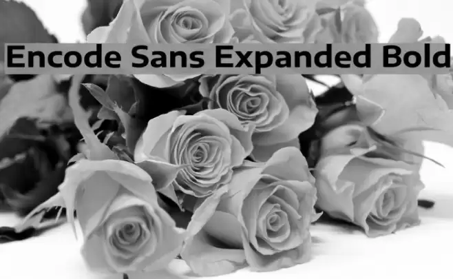 Encode Sans Expanded Bold Font examples