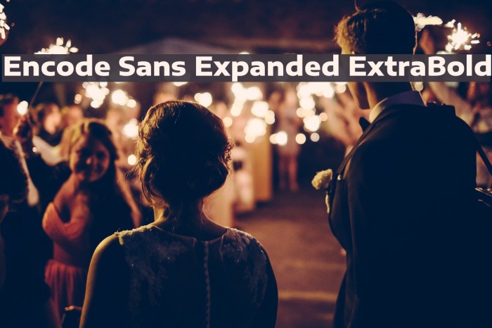 Encode Sans Expanded ExtraBold Font examples