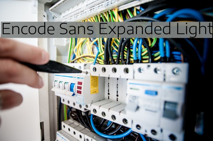 Encode Sans Expanded Light Font examples