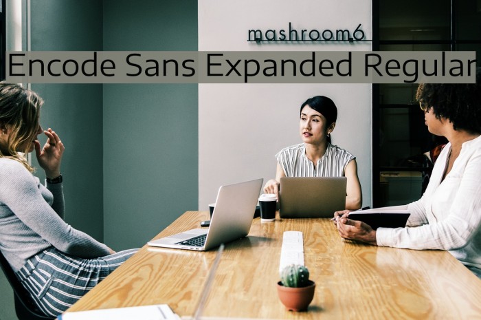 Encode Sans Expanded Regular Font examples