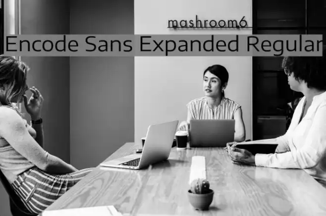 Encode Sans Expanded Regular Example 1