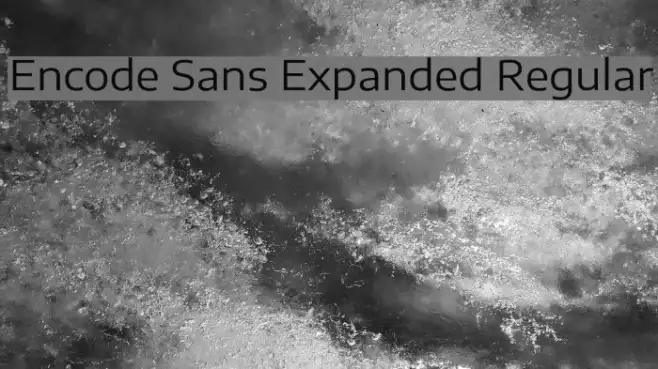 Encode Sans Expanded Regular Example 2
