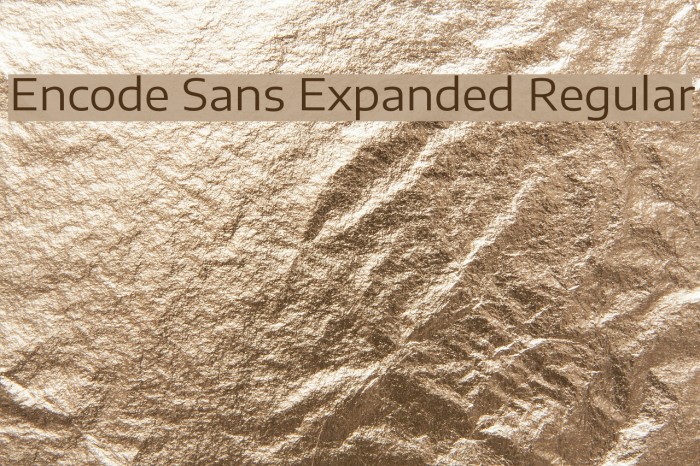 Encode Sans Expanded Regular Font examples